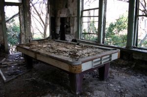 callalillie.com navy yards.jpg